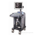 Visual Abortion Visual Artificial Abortion Probe Ultrasound